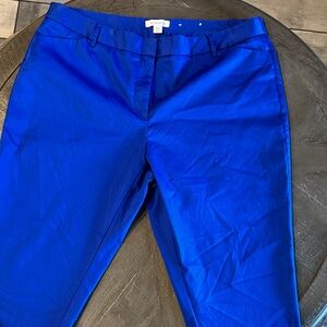 Vibrant Blue Liz Claiborne Pants